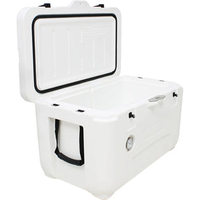 Horse Racing Champion Themed Ice Box - Fantastic Gift Idea!