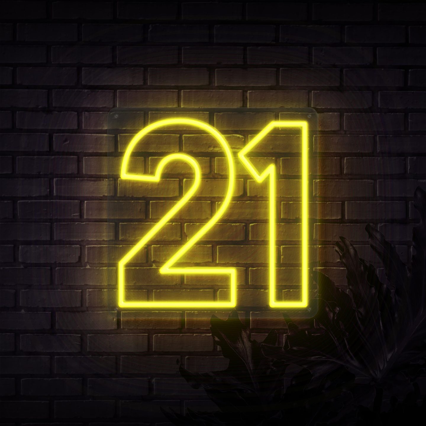 Neon Sign - NUMBER 21 NEON SIGN (DELIVERED IN 3-5WKS)